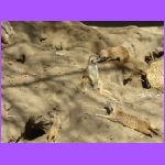 What Are You Looking For.jpg